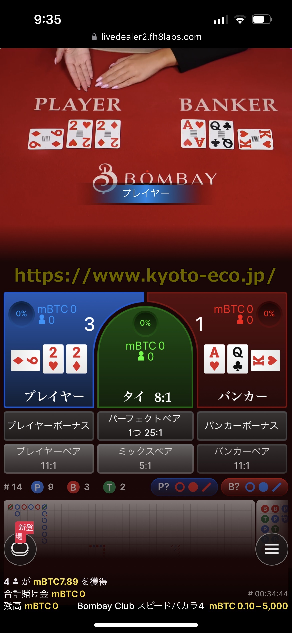 ビットカジノ