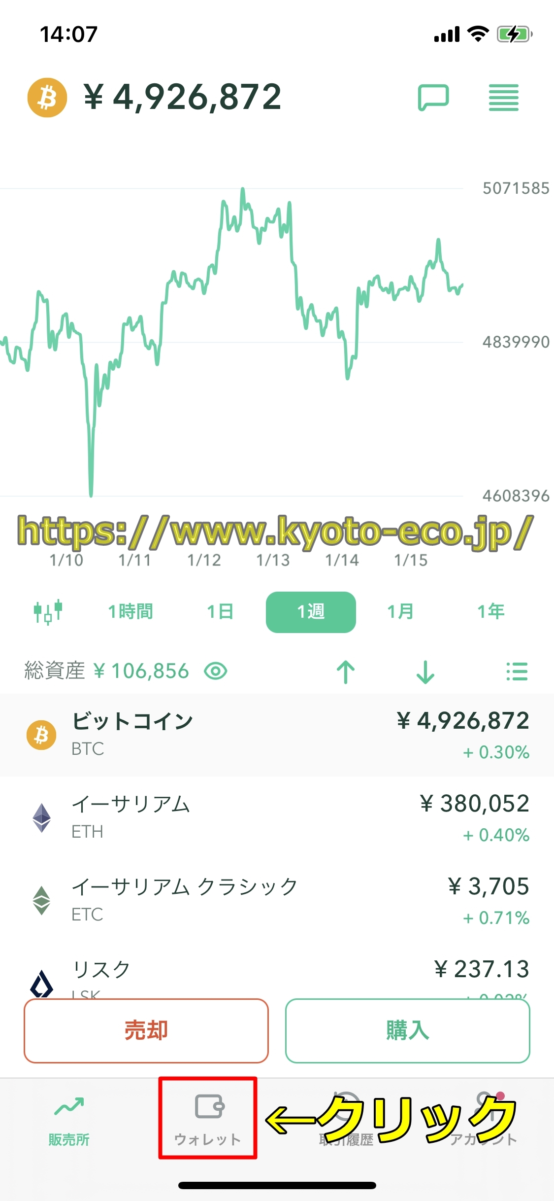ビットスターズ