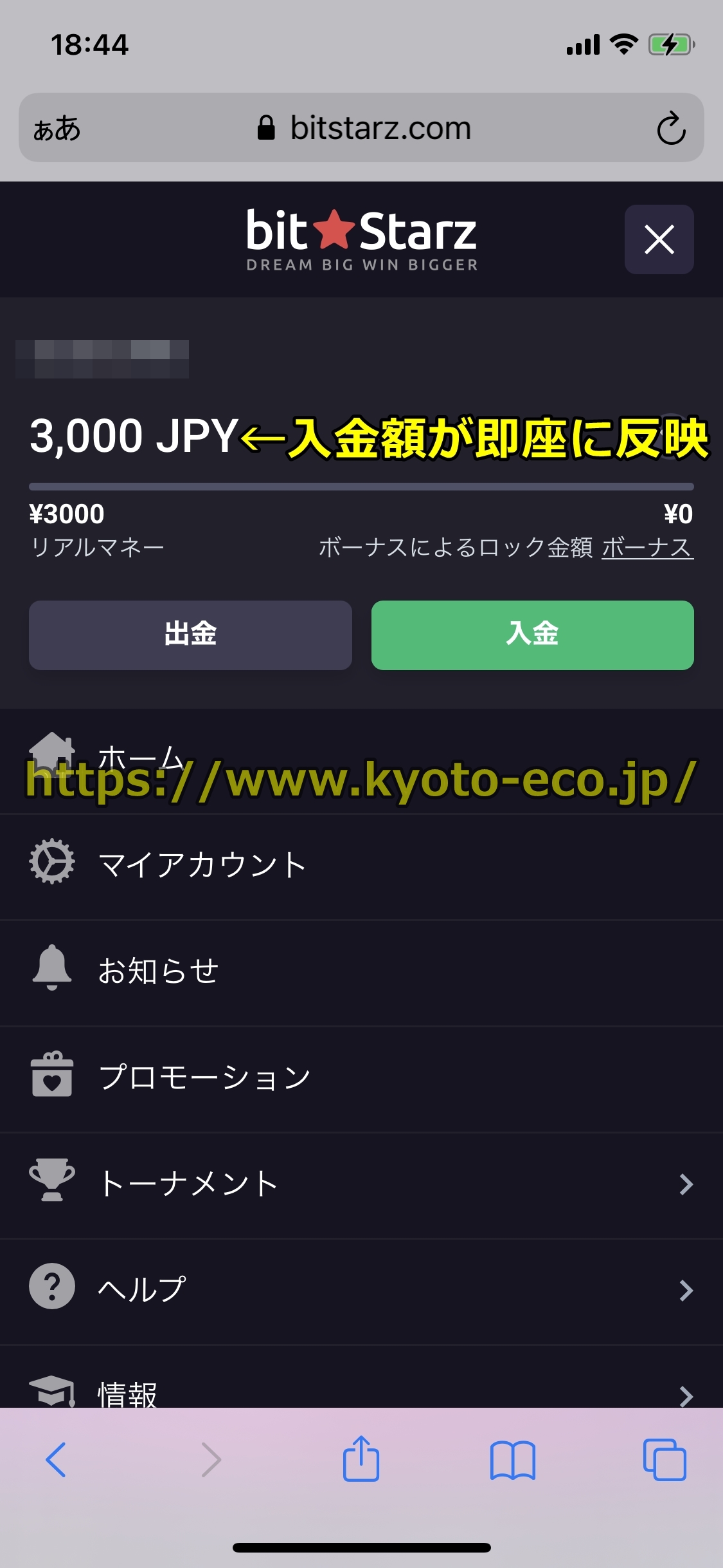 ビットスターズ